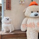 옥희네샵