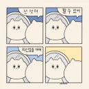 코리아짐 이미지