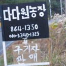 홀뫼농장 이미지