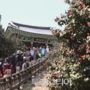 서해항공여행사 이미지