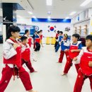 늘봄태권도 이미지