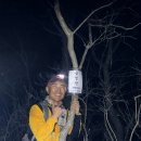 고*경