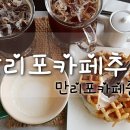 만리포카페중독 이미지