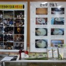 양주초록지기정보화마을 이미지