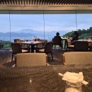 비너스화장품/카페드리코 | 시즈오카 여행 여기만 가도 충분해요 니혼다이라 호텔 아이랑 다녀온 후기