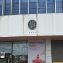 동명식빵 | 해남 빵집 동명제과