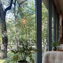 진커피숲 | 알마티 카페 아고스토 커피 Agosto coffee 젠코브 성당 숲뷰 카페 후기