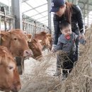 청계목장 이미지