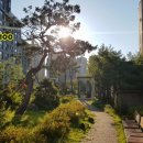 반곡동_수루배 207동앞 이미지