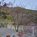 가평카라반캠핑농원 | [가평 캠핑장🏕 추천]가평랜드 캠핑앤카라반 캠핑장|솔직후기