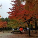 소바우공원 이미지