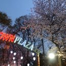 (주)미인나라 네이버블로그