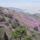 국화저수지 이미지