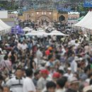 그냥 심심해서요. (23367) 돌아온 ‘대전 0시 축제’ 이미지