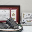 최유섭피부과의원 이미지