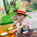 큰솔농장 이미지