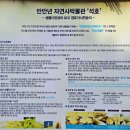 강릉시 해파랑길 39코스. 바우길 05구간. 솔바람 다리~사천진 해변.