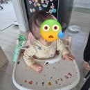 자연해나어린이집 | 향유 국산 유기농 아기 참기름 구매 사용 후기