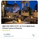 라우루스 이미지