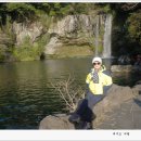 천지연 폭포 이미지