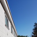 사파리모텔 이미지