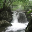 산장농원 이미지