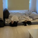선영도너츠 이미지