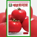 예광농장 쇼핑하우