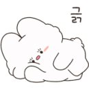 레푸스김천혁신점