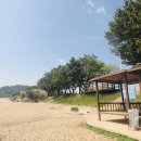 부흥해수욕장 이미지