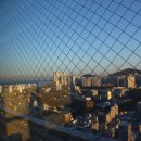 동일아파트 앞 이미지