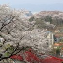 비룡앞 도로변 이미지