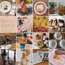 선유랑마을 이미지