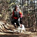 수안119안전센터 이미지