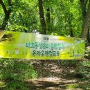 비호동산 유아숲체험원 이미지