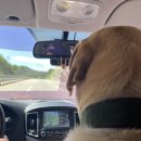 율곡동물병원 이미지