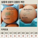 알닭치킨 이미지