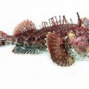 새솔펜션 이미지