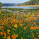 금산을지병원 이미지