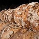 국제 VISA 행정사 사무소 이미지