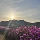 포시즌호스텔 | 경남 합천 황매산 주차장, 등산코스 소요시간 | 황매산 진달래, 철쭉, 억새 축제, 휠체어 대여, 황매산...