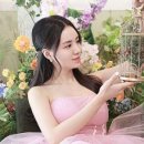 코코넛가든 이미지