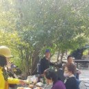 성지골산장