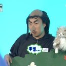 환영탕 이미지