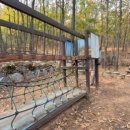 구름산산림욕장 이미지