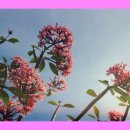 한국 음악의 장단 이미지