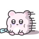 이래서 에스테틱