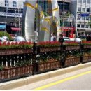 그린시티 이미지