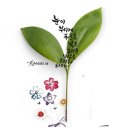 푸르른날 이미지