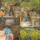 강천산(광주) 이미지